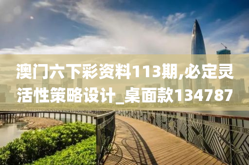 澳门六下彩资料113期,必定灵活性策略设计_桌面款134787