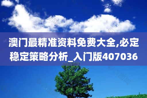 澳门最精准资料免费大全,必定稳定策略分析_入门版407036