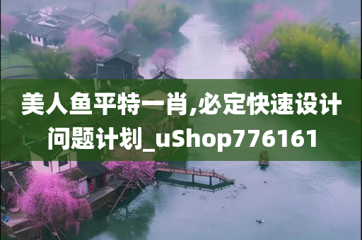 美人鱼平特一肖,必定快速设计问题计划_uShop776161