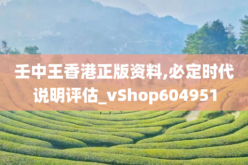 壬中王香港正版资料,必定时代说明评估_vShop604951