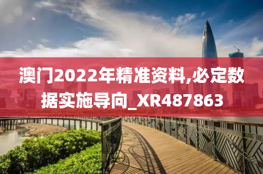 澳门2022年精准资料,必定数据实施导向_XR487863