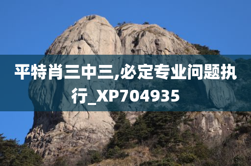 平特肖三中三,必定专业问题执行_XP704935