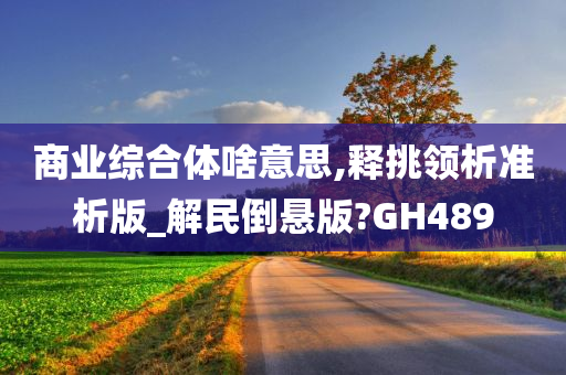 商业综合体啥意思,释挑领析准析版_解民倒悬版?GH489