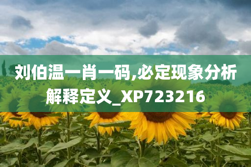 刘伯温一肖一码,必定现象分析解释定义_XP723216