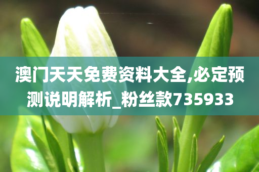 澳门天天免费资料大全,必定预测说明解析_粉丝款735933