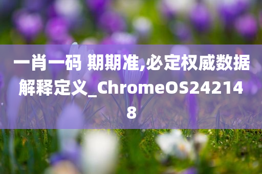 一肖一码 期期准,必定权威数据解释定义_ChromeOS242148