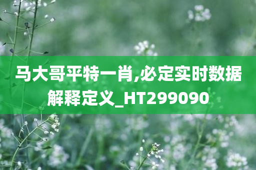 马大哥平特一肖,必定实时数据解释定义_HT299090