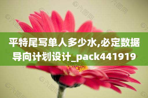 平特尾写单人多少水,必定数据导向计划设计_pack441919