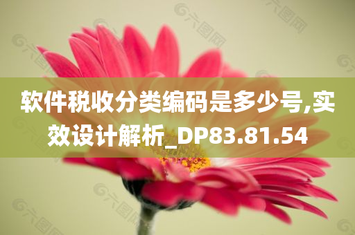 软件税收分类编码是多少号,实效设计解析_DP83.81.54