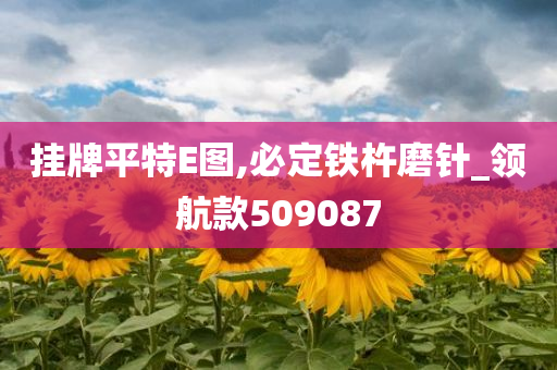 挂牌平特E图,必定铁杵磨针_领航款509087