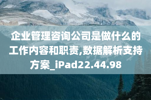 企业管理咨询公司是做什么的工作内容和职责,数据解析支持方案_iPad22.44.98