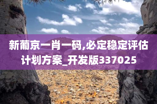 新葡京一肖一码,必定稳定评估计划方案_开发版337025