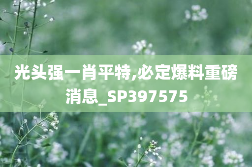 光头强一肖平特,必定爆料重磅消息_SP397575