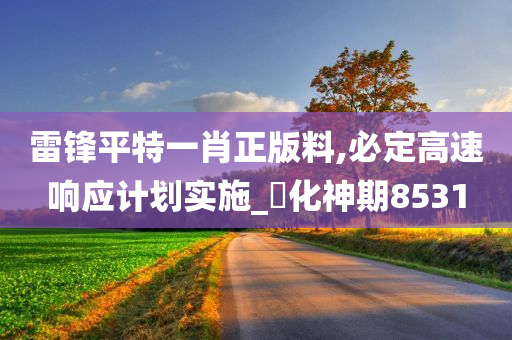 雷锋平特一肖正版料,必定高速响应计划实施_‌化神期8531