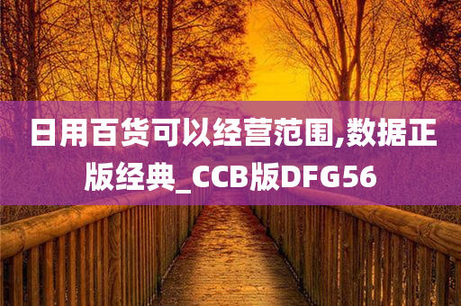 日用百货可以经营范围,数据正版经典_CCB版DFG56