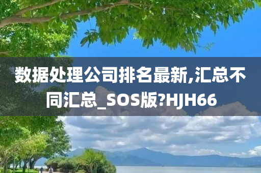 数据处理公司排名最新,汇总不同汇总_SOS版?HJH66