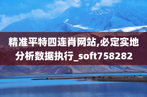 精准平特四连肖网站,必定实地分析数据执行_soft758282