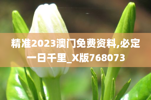 精准2023澳门免费资料,必定一日千里_X版768073