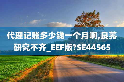 代理记账多少钱一个月啊,良莠研究不齐_EEF版?SE44565