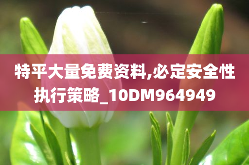 特平大量免费资料,必定安全性执行策略_10DM964949