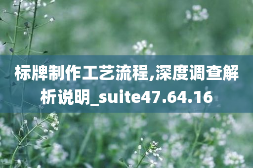 标牌制作工艺流程,深度调查解析说明_suite47.64.16