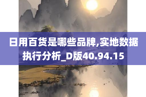 日用百货是哪些品牌,实地数据执行分析_D版40.94.15