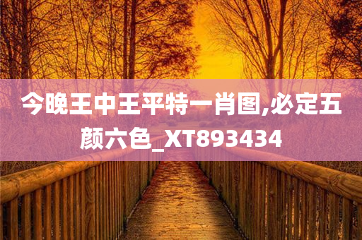 今晚王中王平特一肖图,必定五颜六色_XT893434