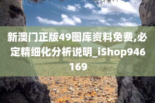 新澳门正版49图库资料免费,必定精细化分析说明_iShop946169