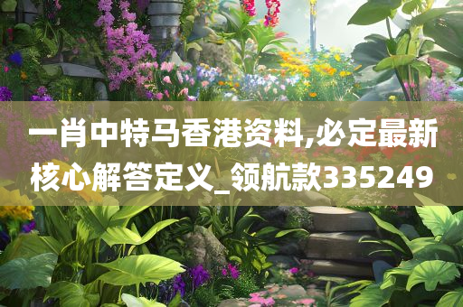 一肖中特马香港资料,必定最新核心解答定义_领航款335249