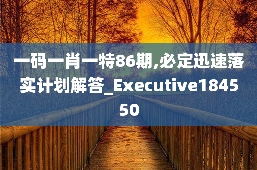 一码一肖一特86期,必定迅速落实计划解答_Executive184550