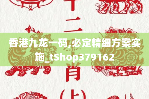 香港九龙一码,必定精细方案实施_tShop379162