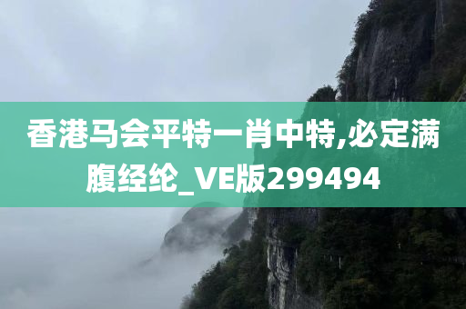 香港马会平特一肖中特,必定满腹经纶_VE版299494