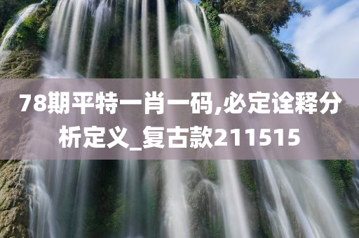 78期平特一肖一码,必定诠释分析定义_复古款211515