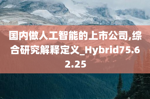 国内做人工智能的上市公司,综合研究解释定义_Hybrid75.62.25