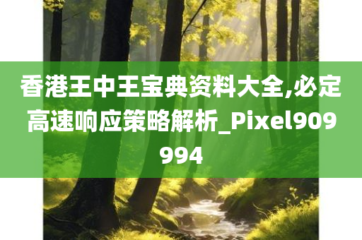 香港王中王宝典资料大全,必定高速响应策略解析_Pixel909994