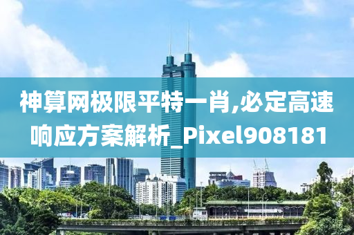 神算网极限平特一肖,必定高速响应方案解析_Pixel908181