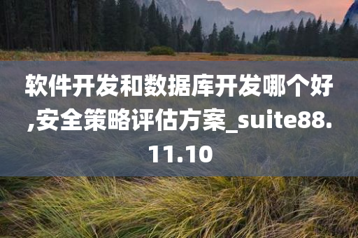 软件开发和数据库开发哪个好,安全策略评估方案_suite88.11.10