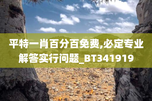 平特一肖百分百免费,必定专业解答实行问题_BT341919