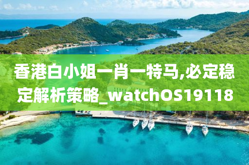 香港白小姐一肖一特马,必定稳定解析策略_watchOS191180