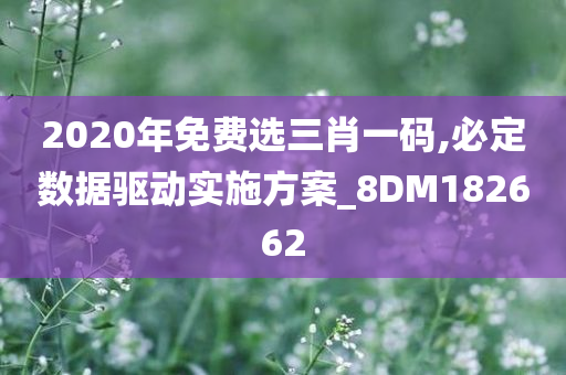 2020年免费选三肖一码,必定数据驱动实施方案_8DM182662