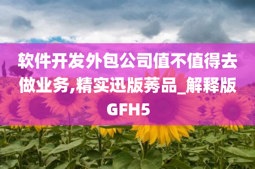 软件开发外包公司值不值得去做业务,精实迅版莠品_解释版GFH5