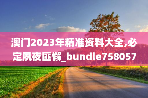 澳门2023年精准资料大全,必定夙夜匪懈_bundle758057