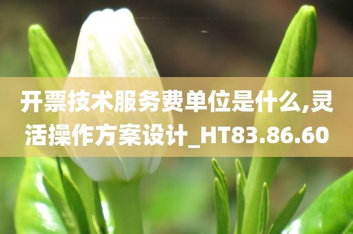 开票技术服务费单位是什么,灵活操作方案设计_HT83.86.60