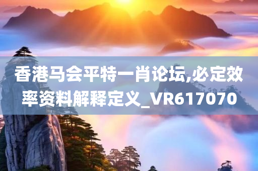 香港马会平特一肖论坛,必定效率资料解释定义_VR617070