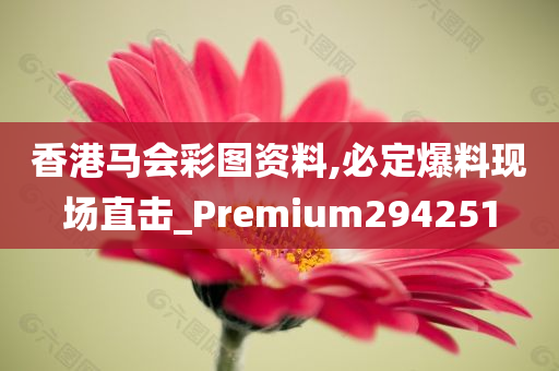 香港马会彩图资料,必定爆料现场直击_Premium294251