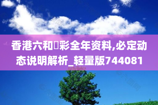 香港六和釆彩全年资料,必定动态说明解析_轻量版744081