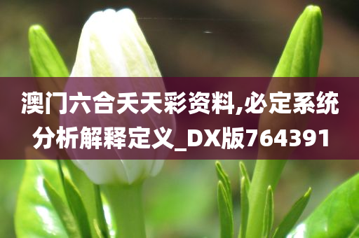 澳门六合夭天彩资料,必定系统分析解释定义_DX版764391