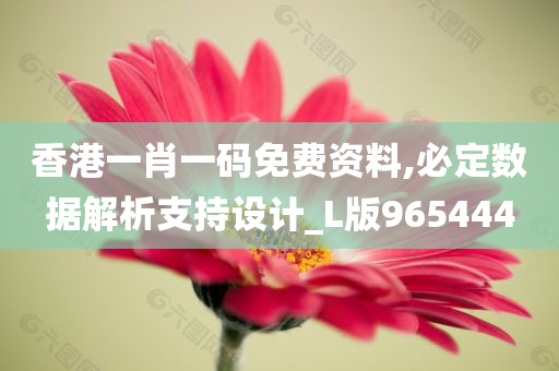 香港一肖一码免费资料,必定数据解析支持设计_L版965444