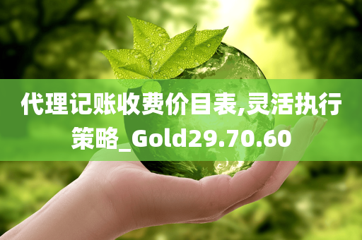 代理记账收费价目表,灵活执行策略_Gold29.70.60