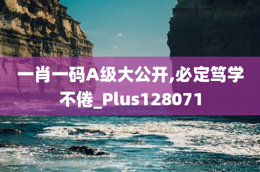 一肖一码A级大公开,必定笃学不倦_Plus128071